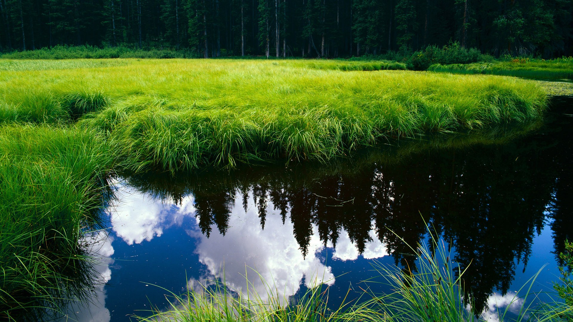 足球的两种维度，格列兹曼的孤星与新西兰的银河