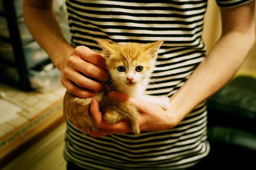 开云体育在线-塔图姆的英雄时刻，在最需要他的那个夜晚，当众摘下伪巨星标签