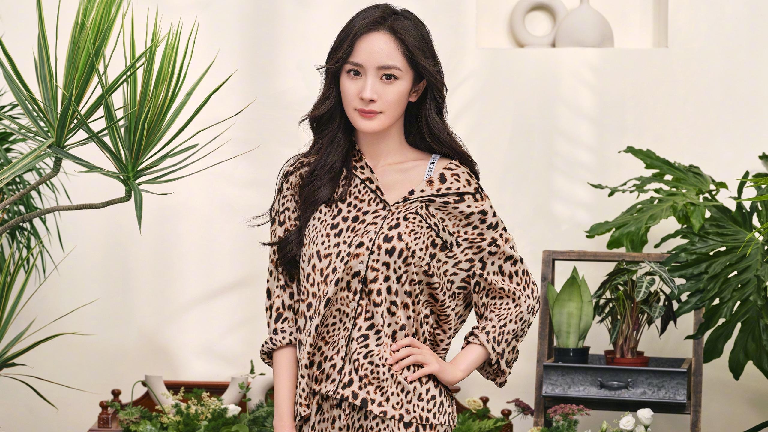 开云体育平台APP-上海的顽强，波士顿的烽火，一场跨越大洋的篮球血性叙事