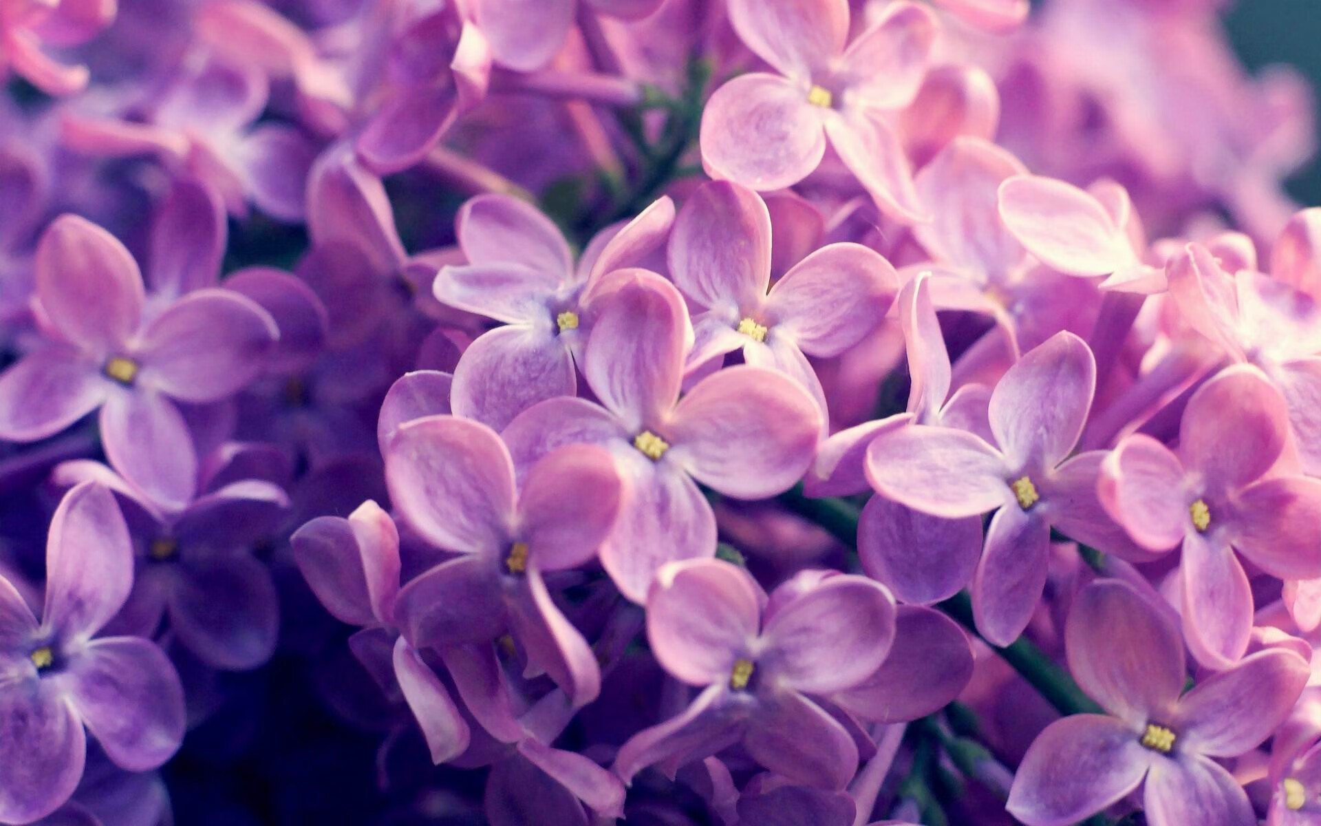 当雄鹰掠过天山，马克西用硬仗之王的利爪撕碎新疆铁壁