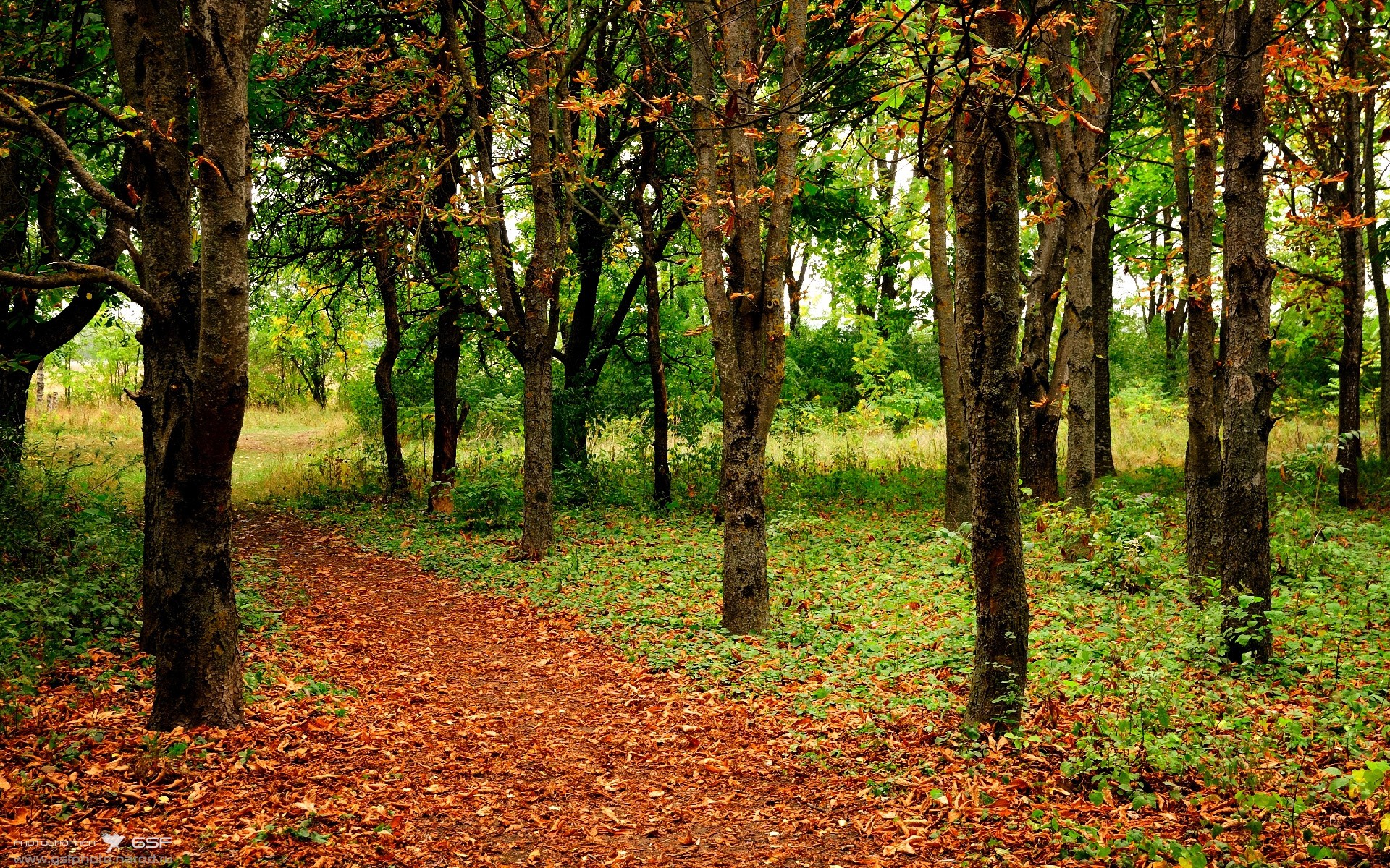 临门一脚先生,当佩德里在奥运周期接管比赛,巴萨的困境与波兰的狂胜之间藏着什么秘密?