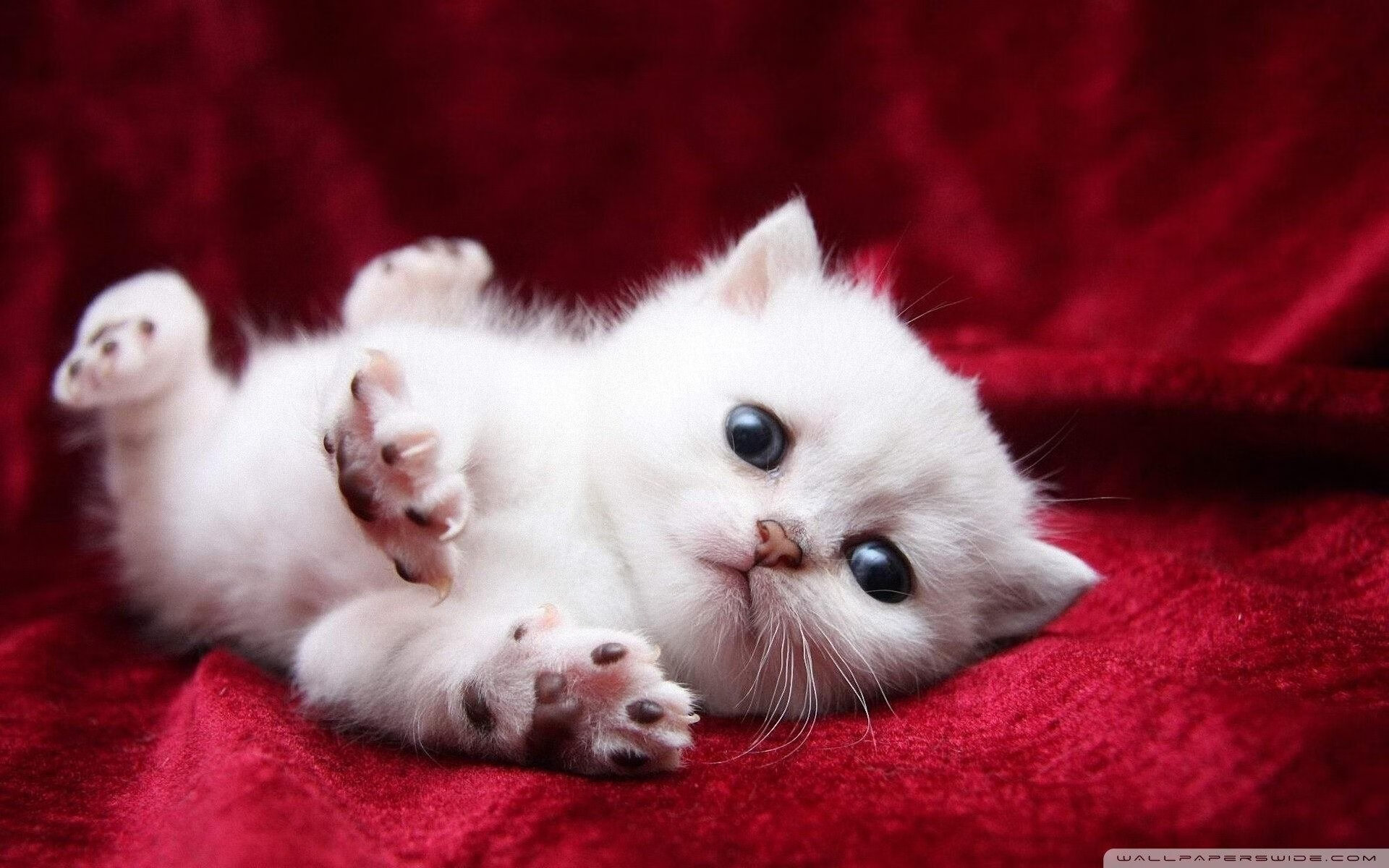 开云sport-浴血重生的钢铁长城，德里赫特头破血流引领德国生死战逆袭比利亚雷亚尔