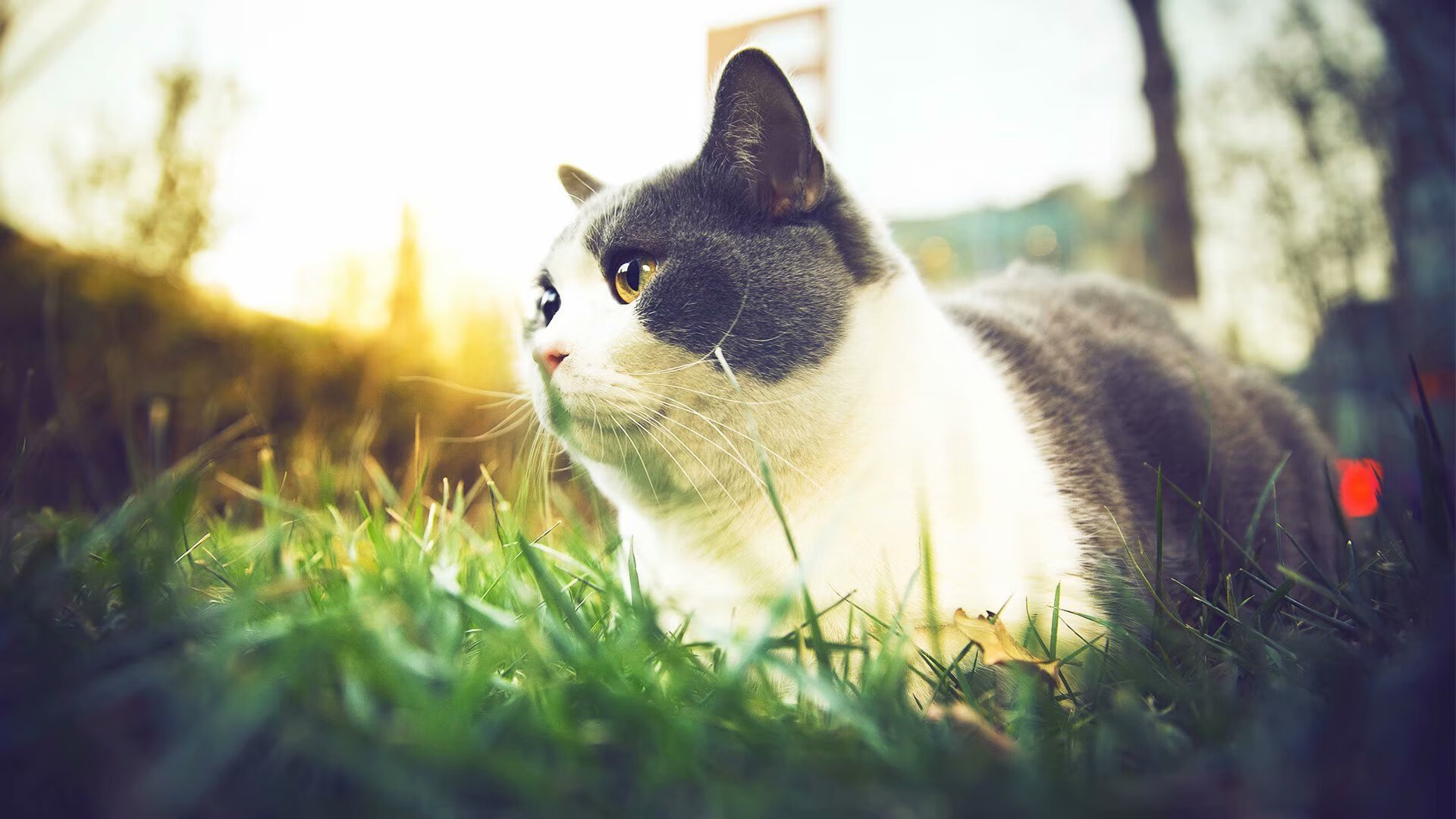 双线叙事,当努涅斯撞碎防守,乌克兰在药厂伤口撒盐