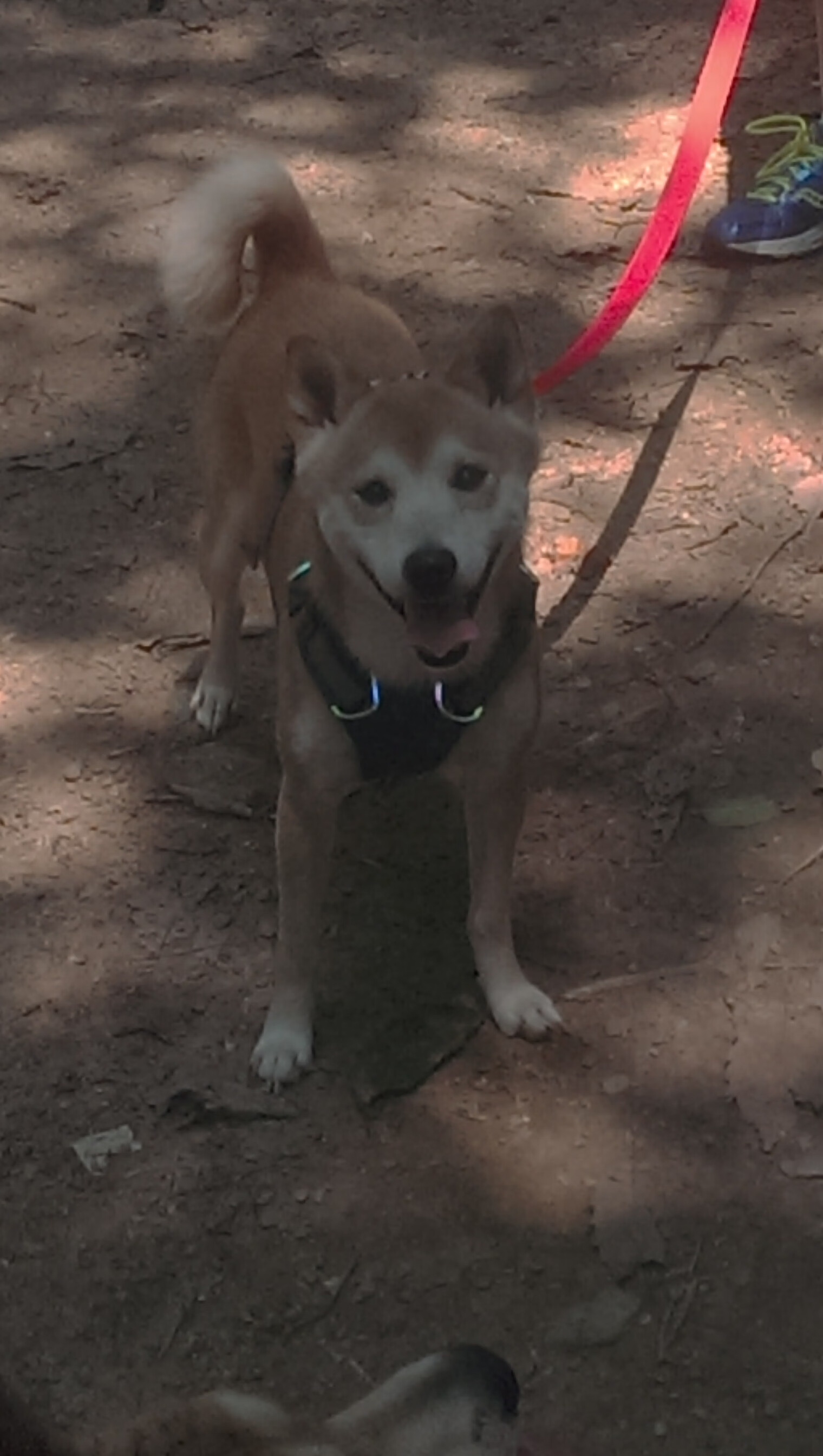 当平行时空错位,那个单骑破长城的东方巨人