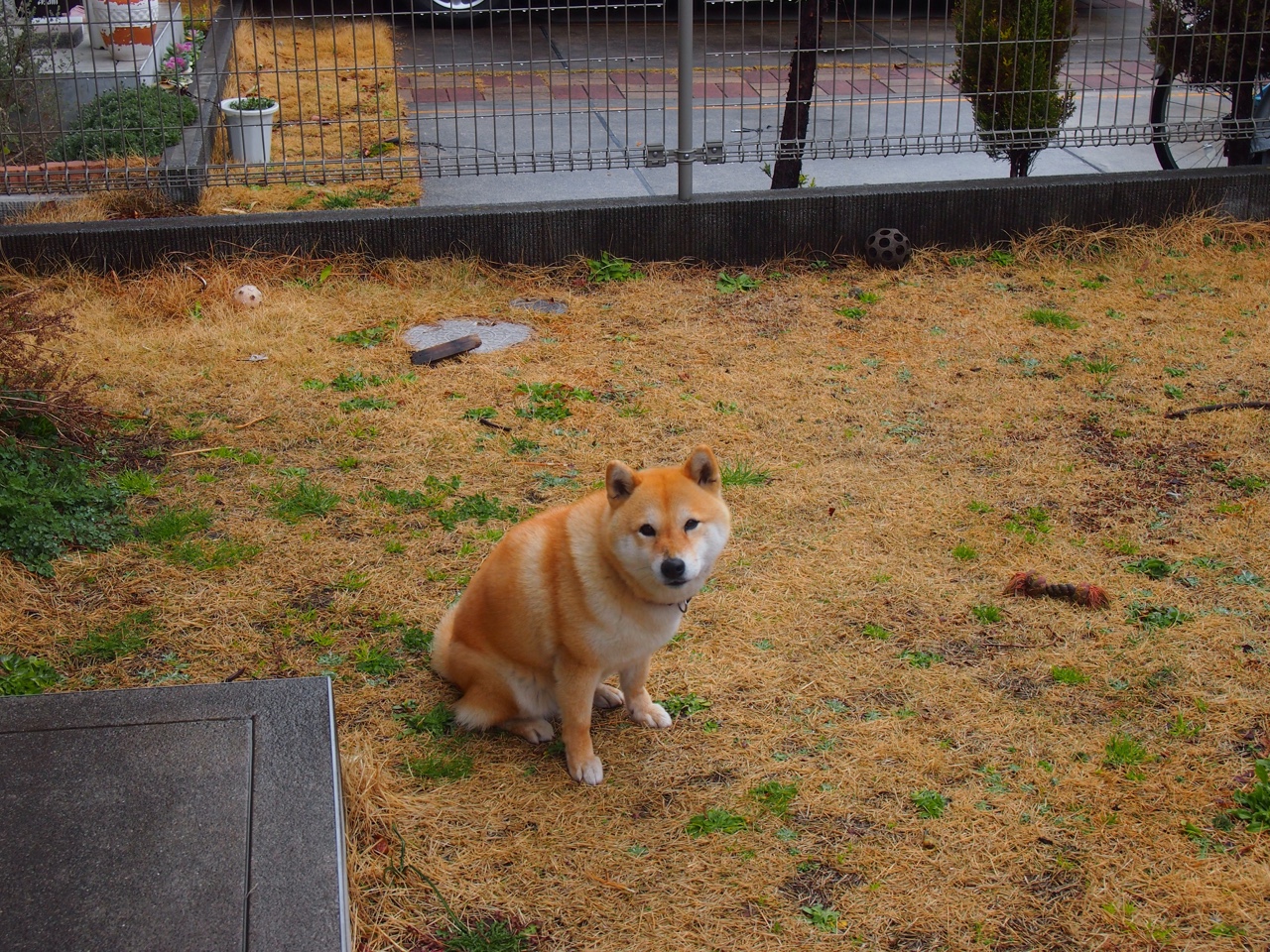 星际陨铁落入伯纳乌,贝林厄姆的魔笛吹响新时代序曲