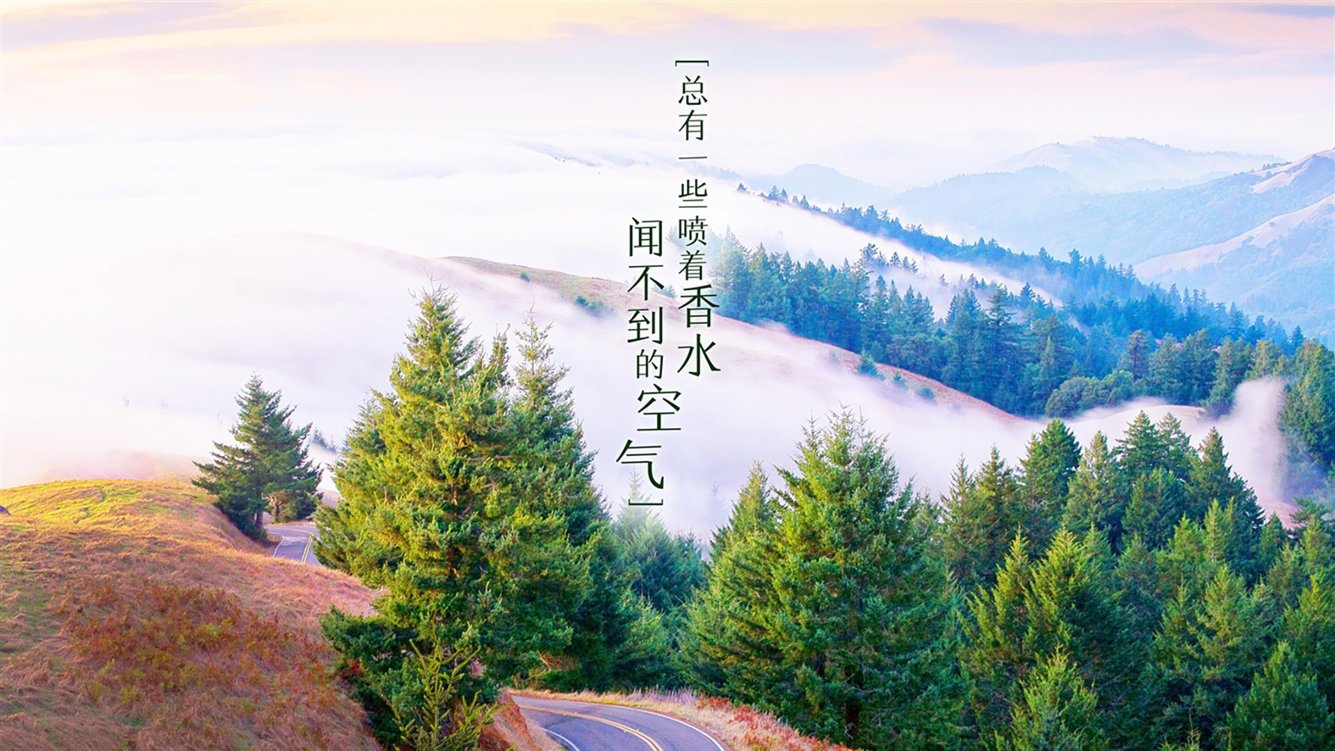 开云体育中国-双子对决，一夜燃尽，克瓦拉茨赫利亚如何用两分钟撕裂英超争冠的天平？