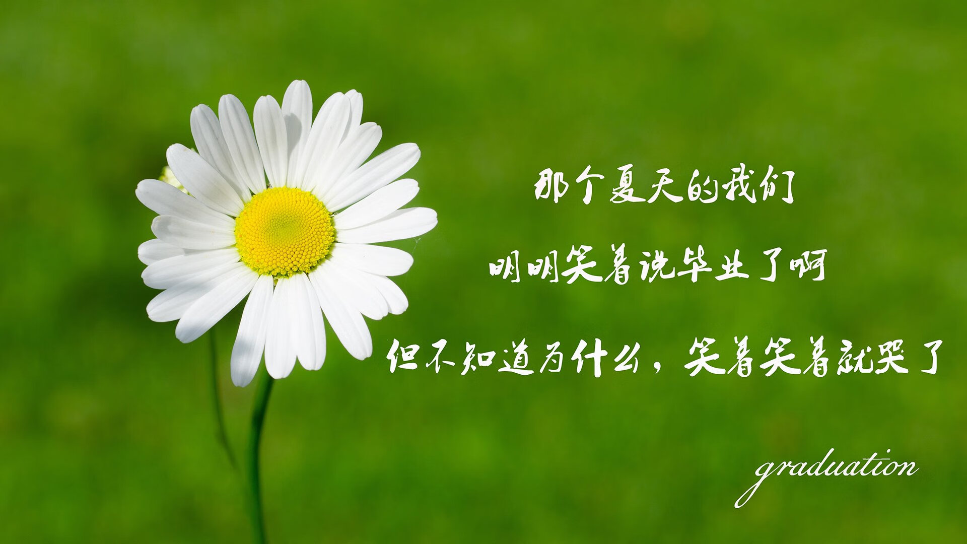 铁幕下的救赎,2026美加墨,B费的匕首如何刺穿捷克的钢铁防线,完成德意志的十年复仇