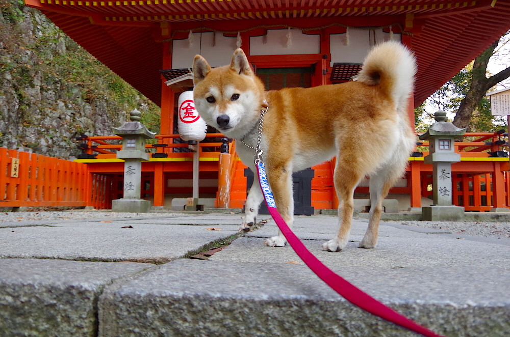 我们先来构思标题,它需要兼顾悬念、冲突和唯一性