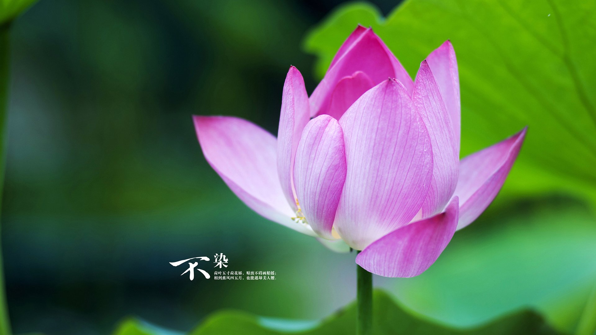开云体育-绝无仅有的剧本，当波斯铁骑踏破潘帕斯神话，梅西用一场逆转书写了C组的唯一答案