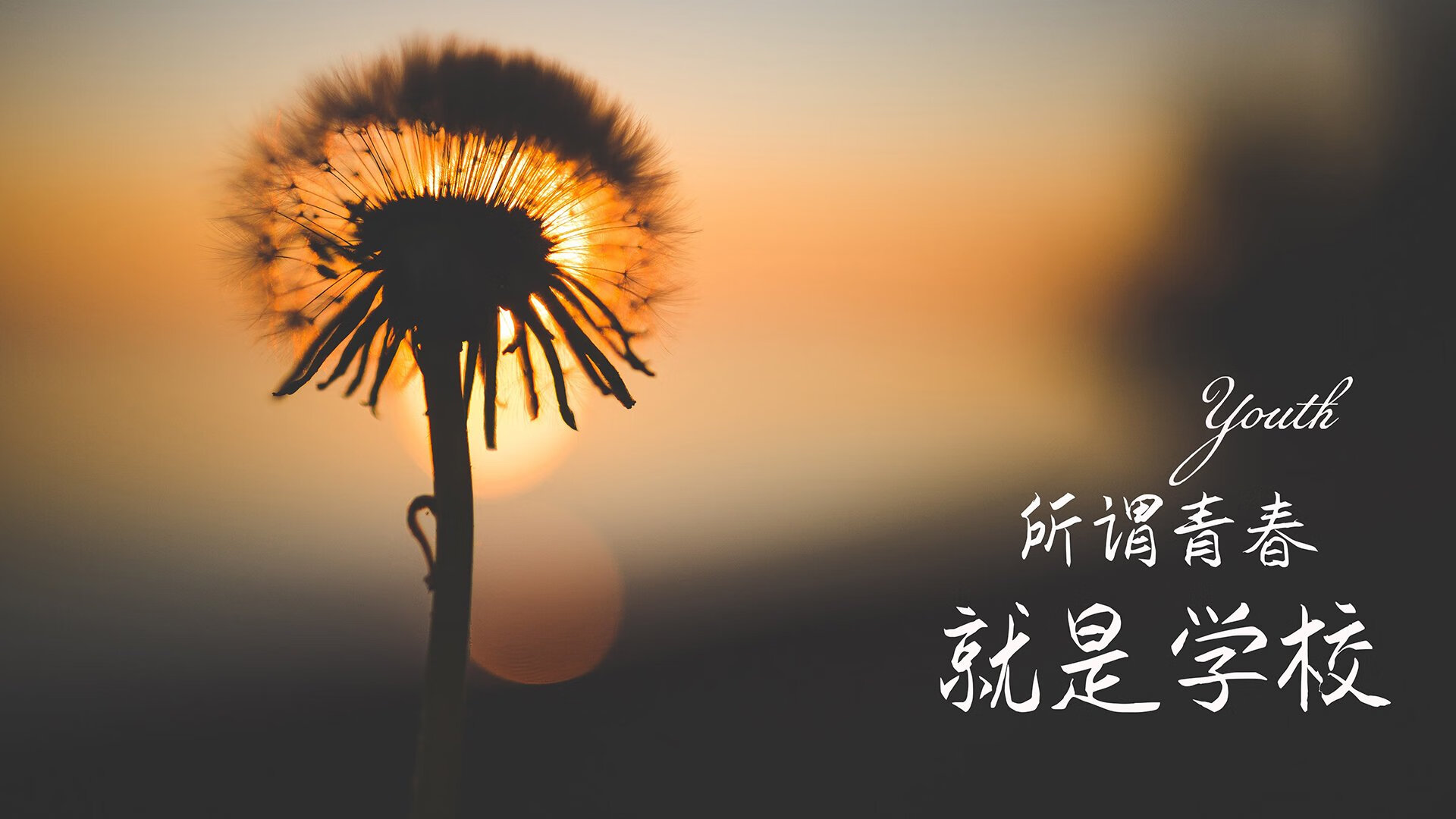 开云体育在线-时钟加速的64分钟，萨卡如何用一己之力，为2026世界杯H组写下唯一解