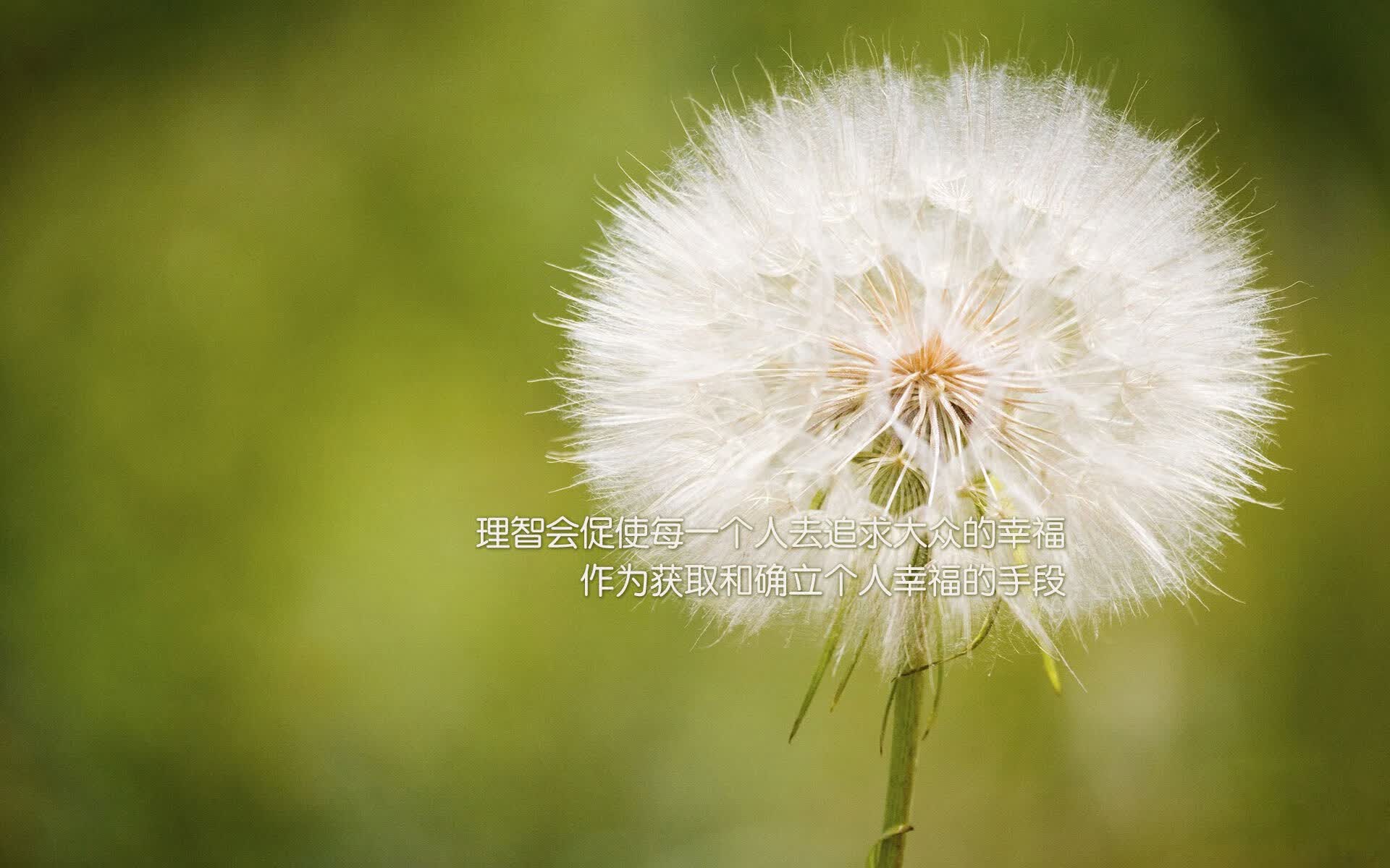 开云体育APP下载-北欧的凛冬与北非的焰火，B组唯一解，在这90分钟里被重新定义