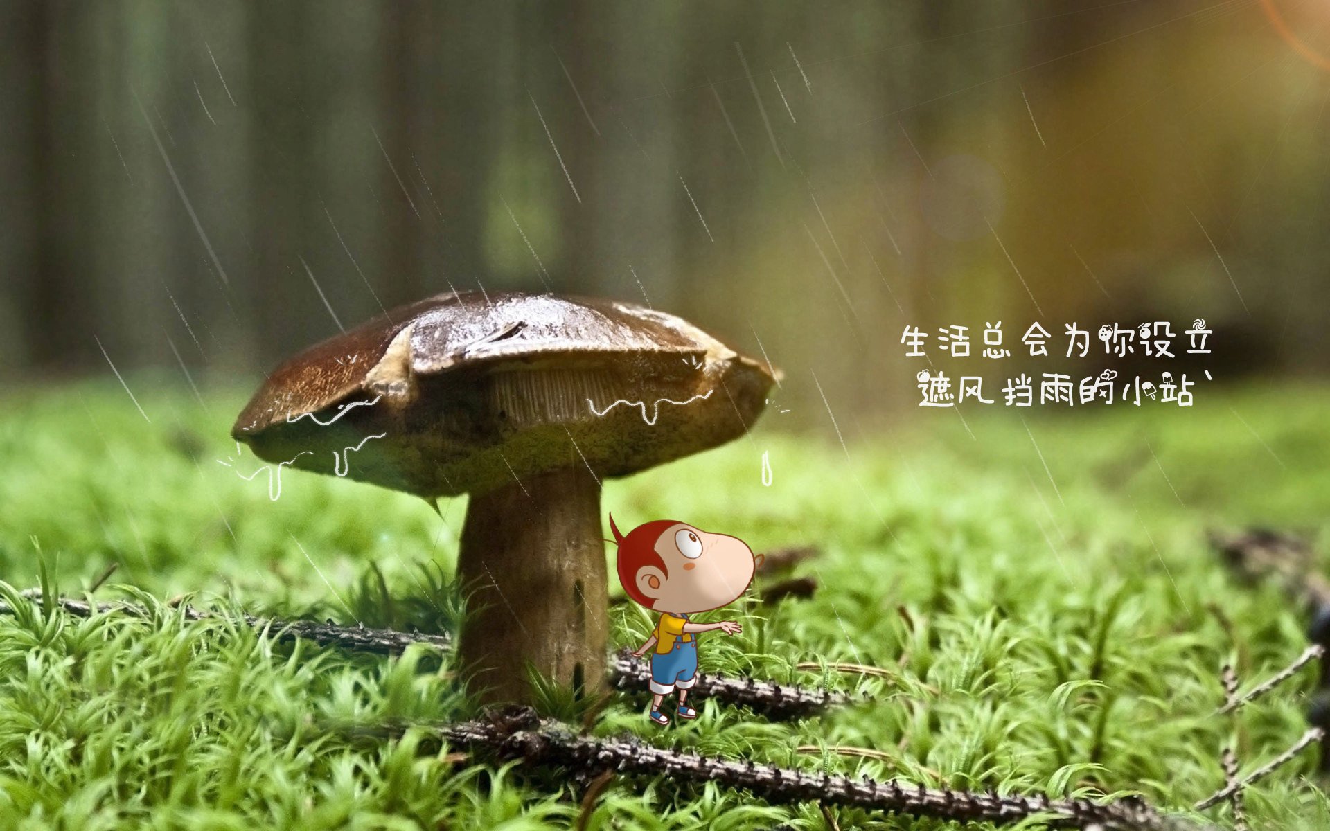 开云体育APP下载-努涅斯，诸神黄昏中的唯一天才，德国绝杀下的命运交响曲